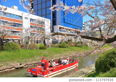 [Toyama Prefecture] Matsukawa River banks, Matsukawa sightseeing boats and cherry blossoms in full bloom 113797916