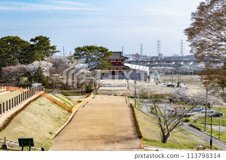 興建中的多賀城外牆南門，從官衙本堂遺址看到櫻花 113798314