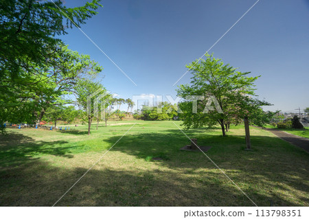 Sayama Park Taiyo Square in the Sayama Hills, surrounded by fresh greenery Sayama Park Taiyo Square in the Sayama Hills, surrounded by fresh greenery 113798351