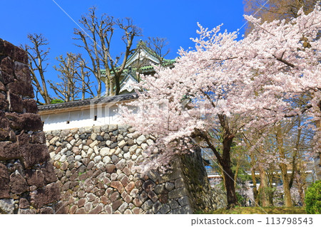 [Toyama Prefecture] Toyama City Sato Memorial Museum on a clear day and cherry blossoms in full bloom 113798543