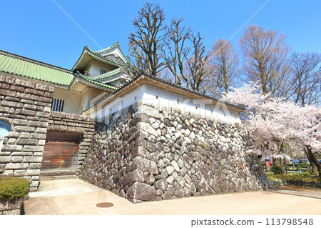 [Toyama Prefecture] Toyama City Sato Memorial Museum on a clear day and cherry blossoms in full bloom 113798548