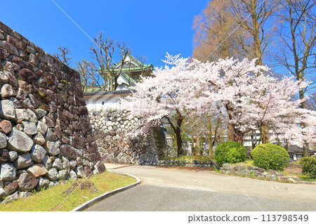 [Toyama Prefecture] Toyama City Sato Memorial Museum on a clear day and cherry blossoms in full bloom 113798549