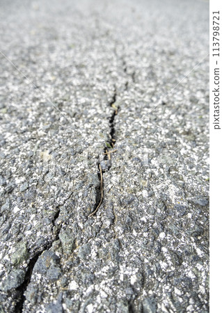 Detail of old abandoned road in the city Detail of old abandoned road in the city 113798721