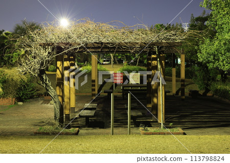 夜公園 113798824