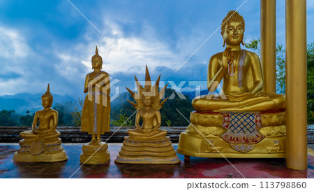 Tiger Temple in Krabi Province. Thailand, February 2024 Tiger Temple in Krabi Province. Thailand, February 2024 113798860