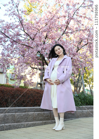 Spring maternity photo pregnant woman cherry blossom Spring maternity photo pregnant woman cherry blossom 113798966