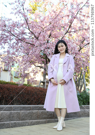 Spring maternity photo pregnant woman cherry blossom Spring maternity photo pregnant woman cherry blossom 113798967