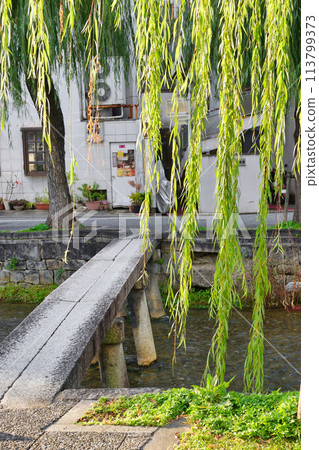 Kyoto Shirakawa River, single bridge and willows (Higashiyama Ward, Kyoto City) Kyoto Shirakawa River, single bridge and willows (Higashiyama Ward, Kyoto City) 113799373