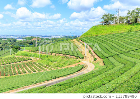 Yame Central Tea Garden (Yame City, Fukuoka Prefecture) 113799490