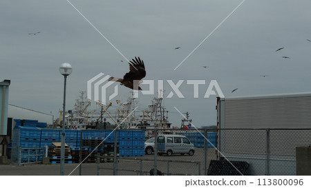 通比漁港 通比漁港 113800096