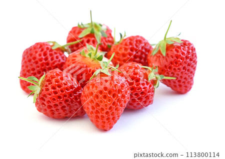 一護（越後姬） 113800114