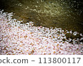 花筏（櫻花花瓣） 113800117