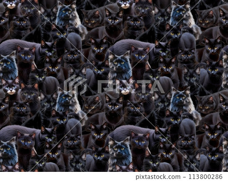 Cat seamless pattern ④ A-2' (black background) 113800286