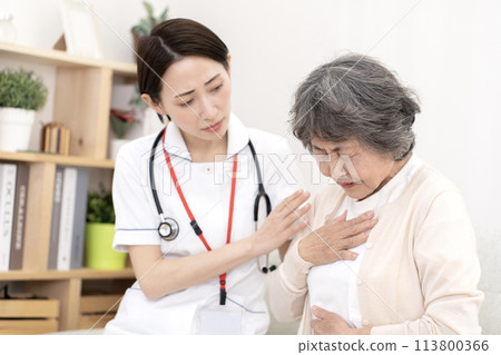 Senior woman in poor health, female nurse, visiting nurse, home medical care 113800366