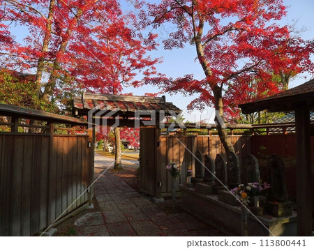 乃仁寺的紅葉(埼玉縣飯能市) 乃仁寺的紅葉(埼玉縣飯能市) 113800441