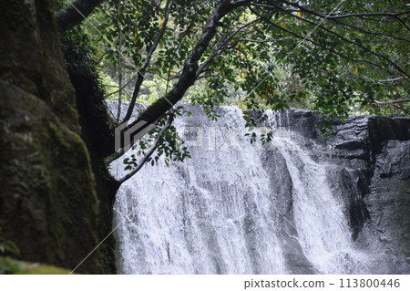 日本瀑布百選“桑之木瀑布” 日本瀑布百選“桑之木瀑布” 113800446