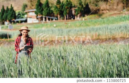 Farmer wearing a straw hat and plaid shirt uses a tablet in a lush wheat field with trees and a house in the background. 113800725