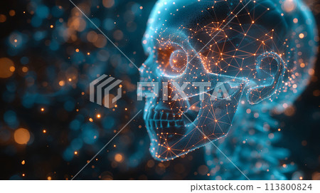 Human remains and networks 113800824