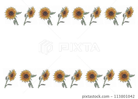 用水性筆和透明水彩畫 S 繪製的棕色向日葵的現代框架插圖 113801042