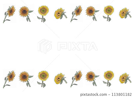 A modern mix illustration of yellow and brown sunflowers drawn with water-based pens and transparent watercolors. 113801182