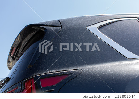 車上沾滿黃色灰塵 113801514