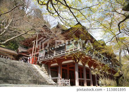 談山神社（祈禱殿、塔門、東西迴廊）【奈良縣櫻井市田峰】 113801895