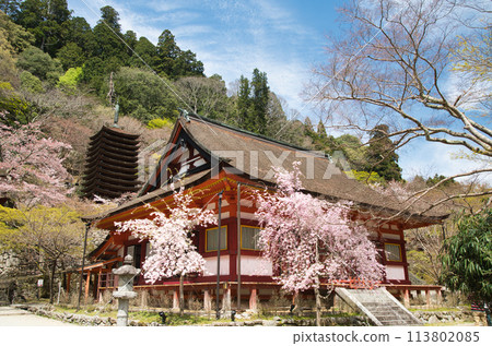 談山神社（參拜場所/十三層寶塔）[奈良縣櫻井市田峰] 113802085