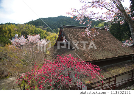 談山神社（神社參拜場所）[奈良縣櫻井市田峰] 113802131