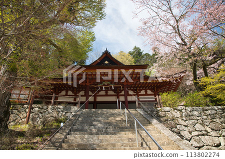 談山神社（權殿）[奈良縣櫻井市田峰] 113802274