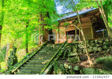 Muroyama Kumano Shrine (Hoshino Village, Yame City) 113802457
