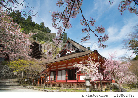 Tanzan Shrine (shrine and 13-story pagoda) [Tanomine, Sakurai City, Nara Prefecture] 113802483