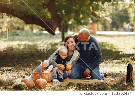 Family with little son in a autumn park 113802484
