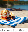 Sunbathing on a beach towel 113802530