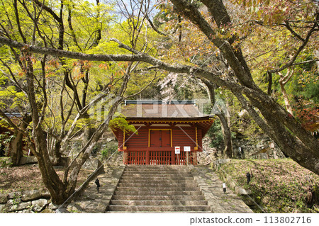 Tanzan Shrine (Tohogura) [Tanzanmine, Sakurai City, Nara Prefecture] 113802716