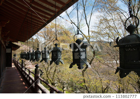Tanzan Shrine (East and West Corridors) [Tanomine, Sakurai City, Nara Prefecture] 113802777