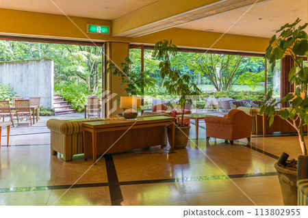 Luxurious hotel entrance scene 113802955