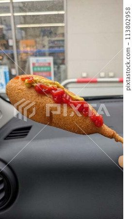 美國狗在車裡 113802958