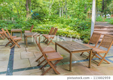 豪華酒店門口景觀 113802959