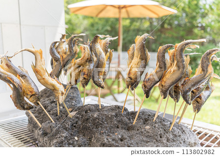 卡在熔岩石中的鹽烤香魚 113802982