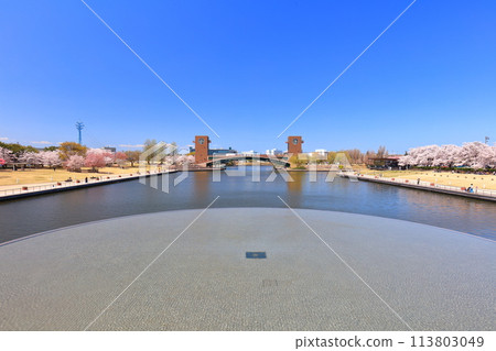 [Toyama Prefecture] Fugan Canal Kansui Park on a clear day and cherry blossoms in full bloom 113803049