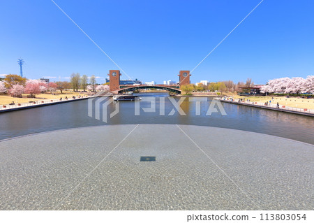 [Toyama Prefecture] Water bus and cherry blossoms in full bloom at Fugan Canal Kansui Park on a clear day 113803054