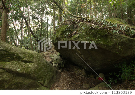 Chiiwa Rock (Kumano Kodo) [Nakahejicho, Tanabe City, Wakayama Prefecture] 113803189