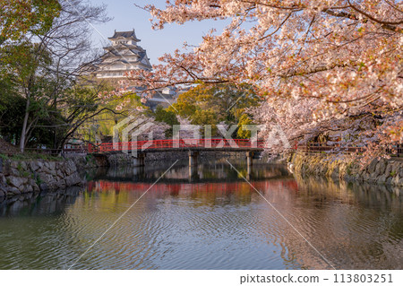 Himeji Castle, cherry blossoms and a red bridge in Himeji, Hyogo Prefecture Himeji Castle, cherry blossoms and a red bridge in Himeji, Hyogo Prefecture 113803251