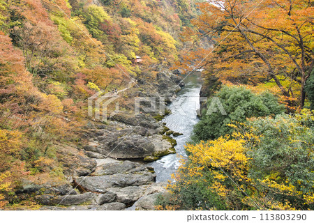 Autumn leaves in Takatsudo Gorge, Omamacho, Midori City, Gunma Prefecture 113803290
