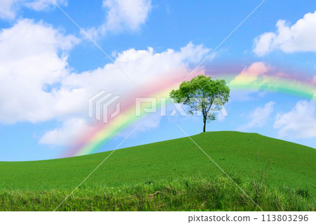 A landscape with a rainbow 113803296