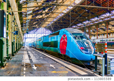 Gare de Lyon Train  station in Paris. 113803389