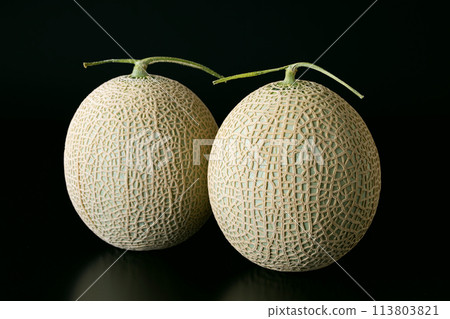 Melon fruit Melon fruit 113803821