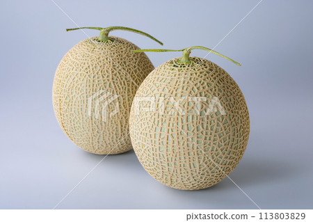 Melon fruit Melon fruit 113803829
