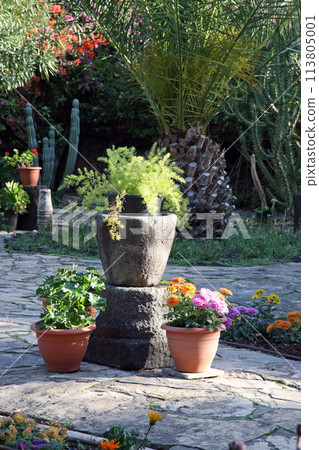 Garden at the church above Peter's house in Capernaum on the Sea of Galilee, Israel Garden at the church above Peter's house in Capernaum on the Sea of Galilee, Israel 113805001