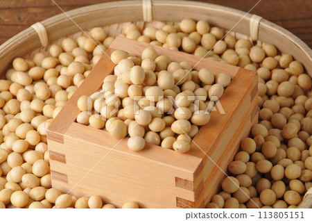 大豆 大豆 113805151